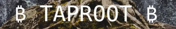 Taproot banner: the word TAPROOT between two bitcoin symbols, over tree roots